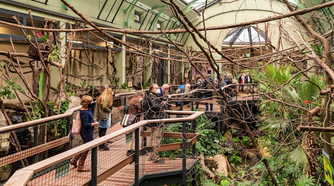 Menschen im Dschungelerlebnis-Haus im Kölner Zoo zwischen Tieren und Pflanzen.