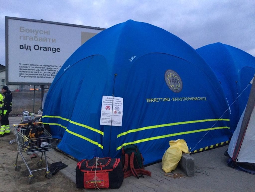 Ein Zelt steht in einem Tierhilfecamp an der ukrainischen Grenze.