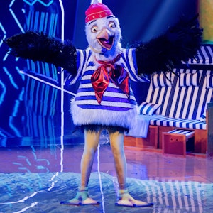 Die Figur „Die Möwe“ steht in der Prosieben-Show „The Masked Singer“ auf der Bühne.