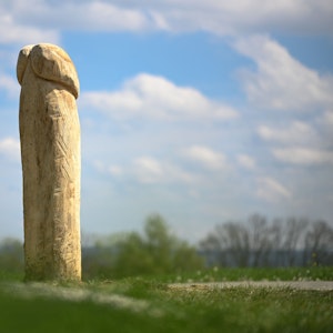 Ein hölzerner Penis steht neben einer Obstplantage an einem Aussichtspunkt. Wer das Phallussymbol aufgestellt hat, ist unbekannt.
