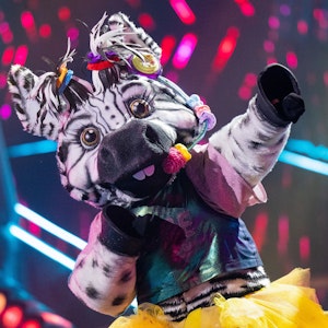 Die Figur "Das Zebra" steht in der Prosieben-Show "The Masked Singer" auf der Bühne. +++ dpa-Bildfunk +++