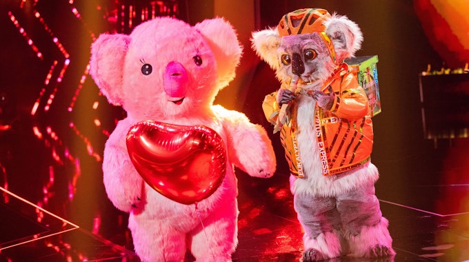 Der „Koala“ (rechts) wurde am 2. April 2022 in der dritten Folge von „The Maskd Singer“ enttarnt. Auf der Bühne war er schwer verliebt in sein kuschelig-pinkes Koala-Weibchen.