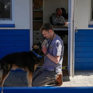 Tierarzt Jakob Kotowicz umarmt einen Hund im Zentrum der ADA-Stiftung.