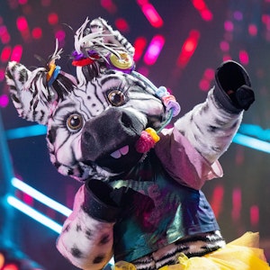 Die Figur „Das Zebra“ steht in der Prosieben-Show „The Masked Singer“ auf der Bühne.