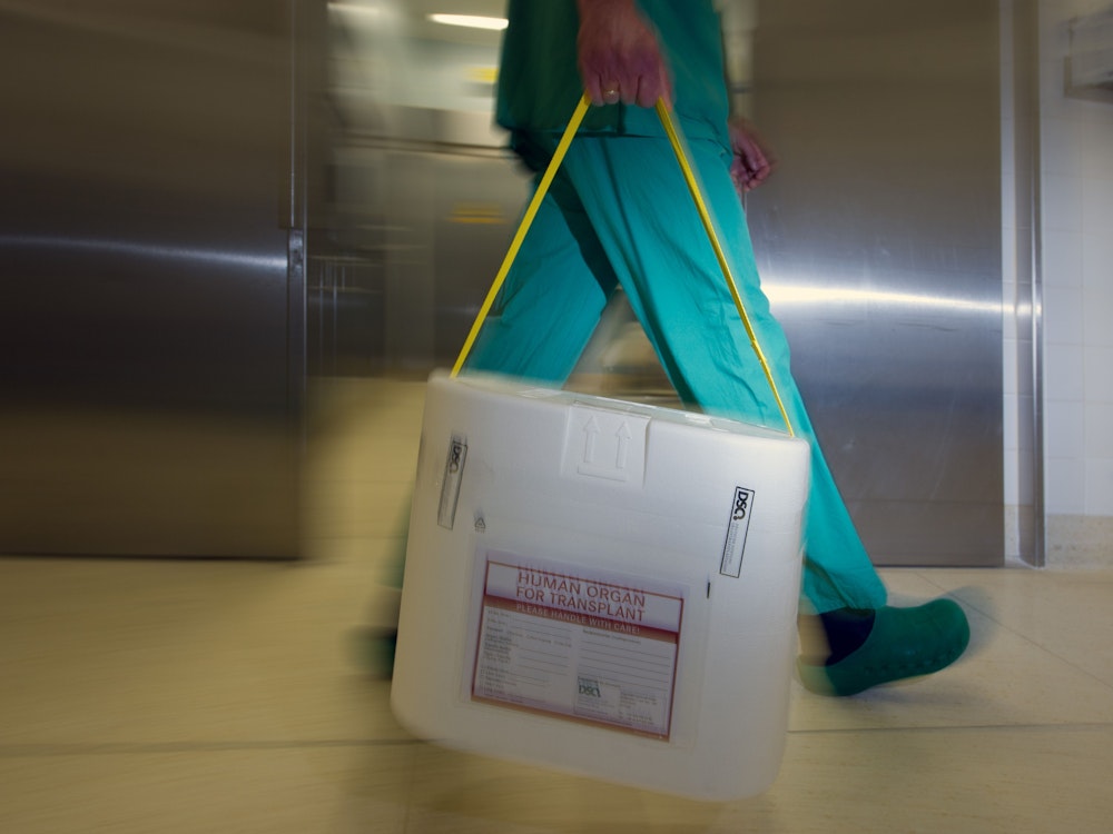 Ein Behälter zum Transport von zur Transplantation vorgesehenen Organen.