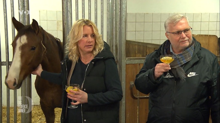 Aperitiv mit Pferd: Gilli serviert ihren Champagnercocktail im Stall.