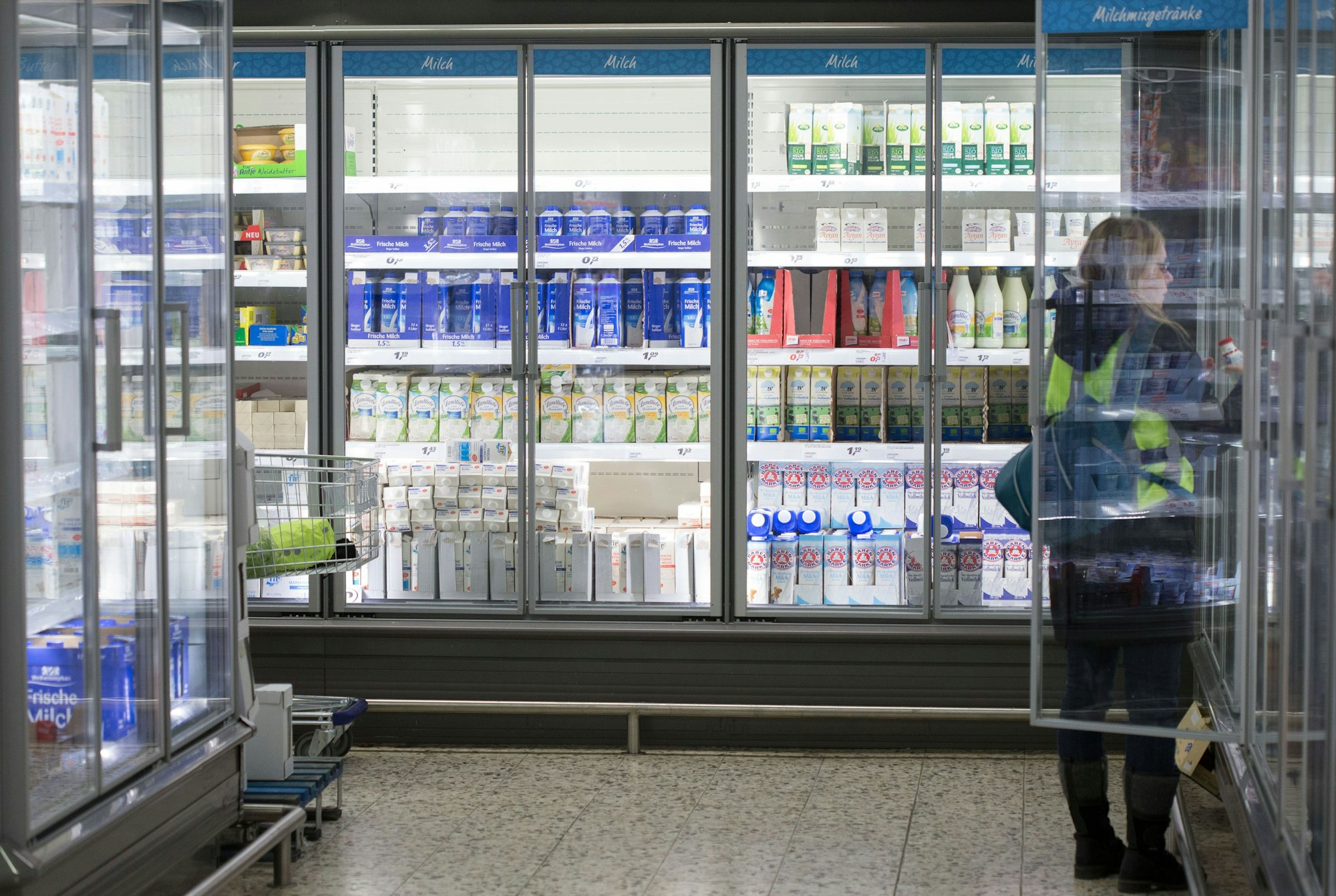 Eine Frau steht in einem Einkaufsmarkt vor einem Kühlregal mit Milchprodukten, Symbolfoto, aufgenommen im Januar 2015.