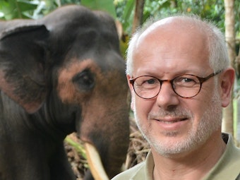 Prof. Pagel mit einem T-Shirt des Kölner Zoos vor einem Elefanten.