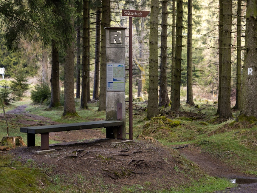 Fernwanderwege in Deutschland wie der „Rennsteig“ führen durch idyllische Wälder.