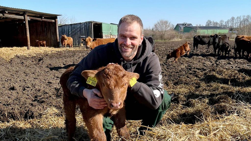 Rinderzüchter Steffen aus Brandenburg ist Kandidat bei Bauer sucht Frau 2022 auf RTL