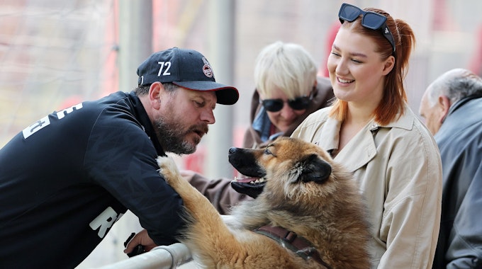Steffen Baumgart begrüßt seine Familie und Hunde nach dem Training des 1. FC Köln.