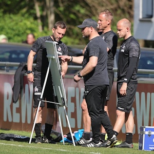 Das Trainerteam des 1. FC Köln studiert die Taktik-Tafel.