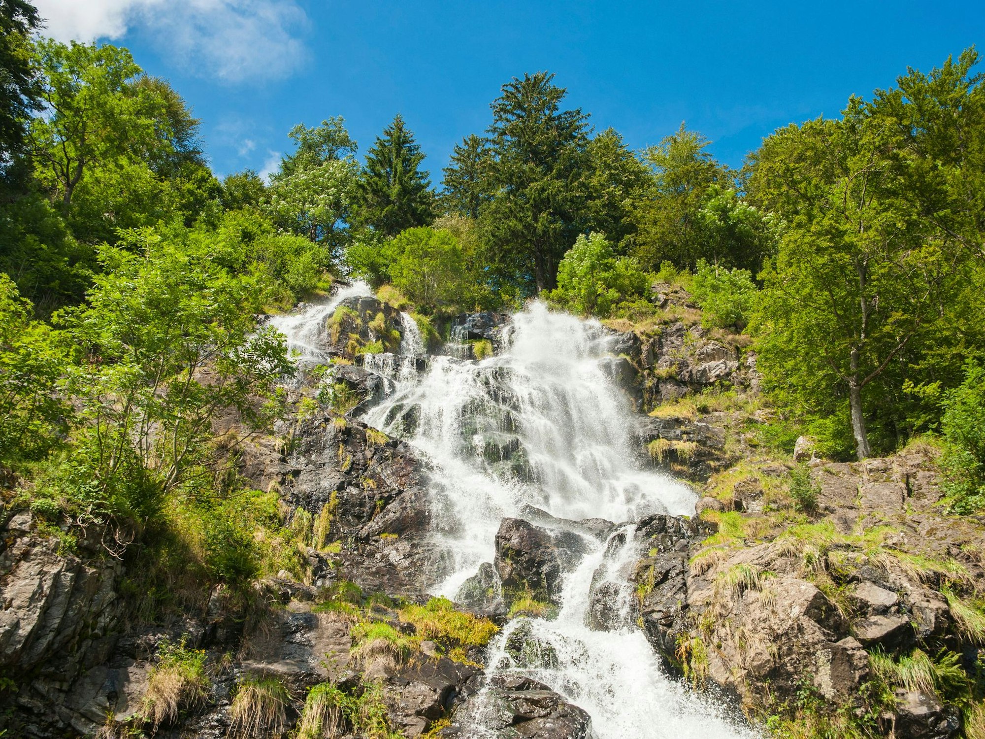 Ein weiteres Highlight in Baden-Württemberg ist der Todtnauer Wasserfall.