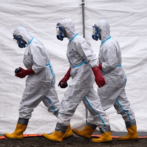 Drei Personen in Schutzkleidung gehen auf einer Gänsefarm, in der die Vogelgrippe (H5N1) nachgewiesen wurde.