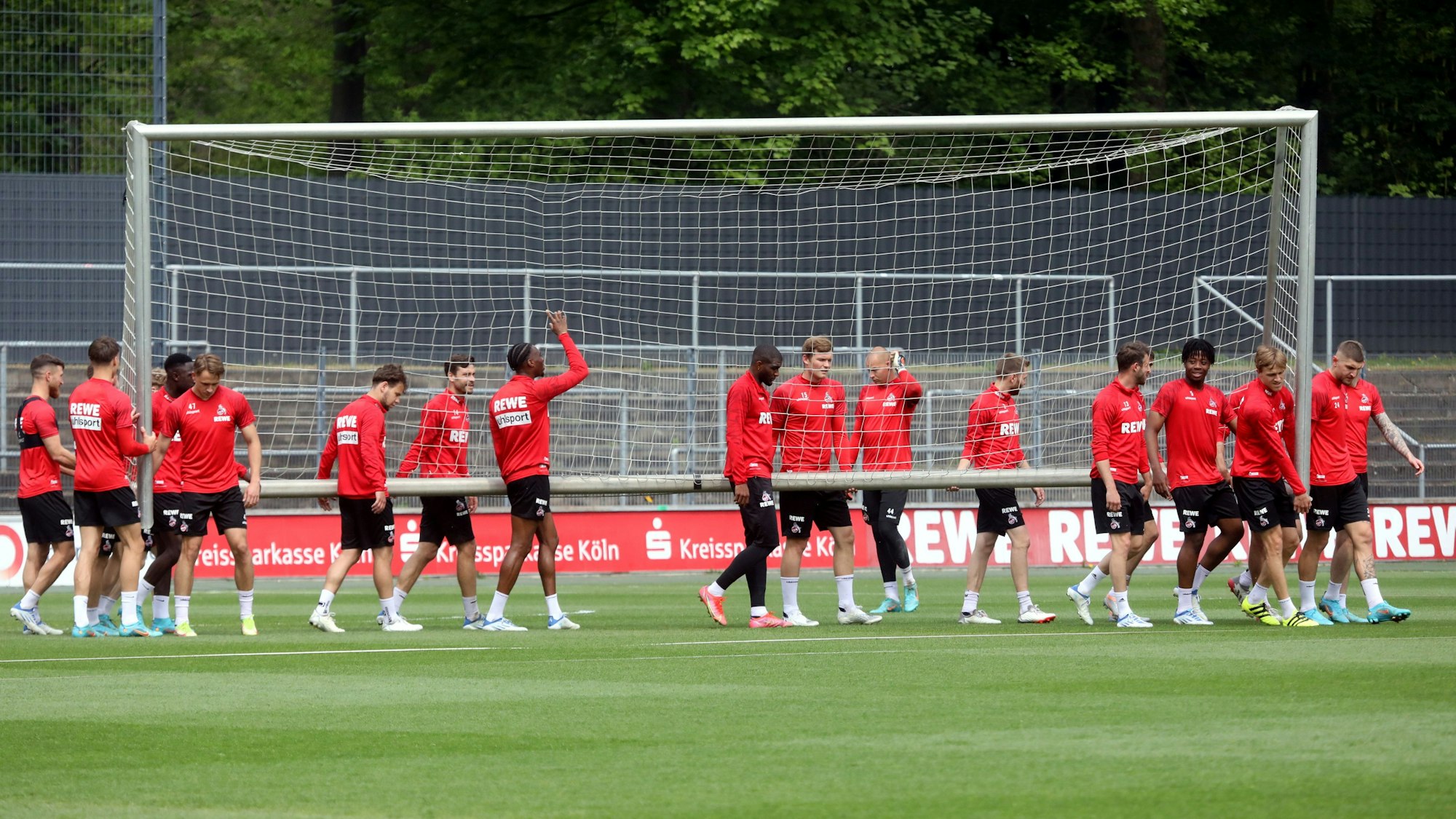 Der 1. FC Köln trainiert am Geißbockheim