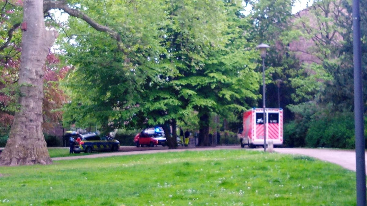 Golf-Fahrer liefert sich Verfolgungsjagd mit der Polizei durch den Stadtgarten in Köln.