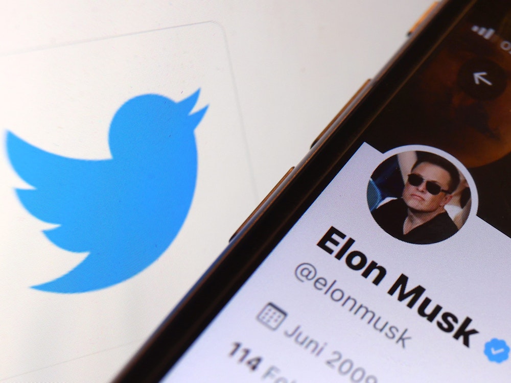 Der Twitter-Account von Elon Musk ist vor dem Logo der Nachrichten-Plattform Twitter zu sehen.