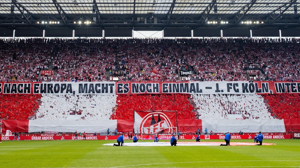 Die Südkurve des 1. FC Köln zeigt eine Choreo.