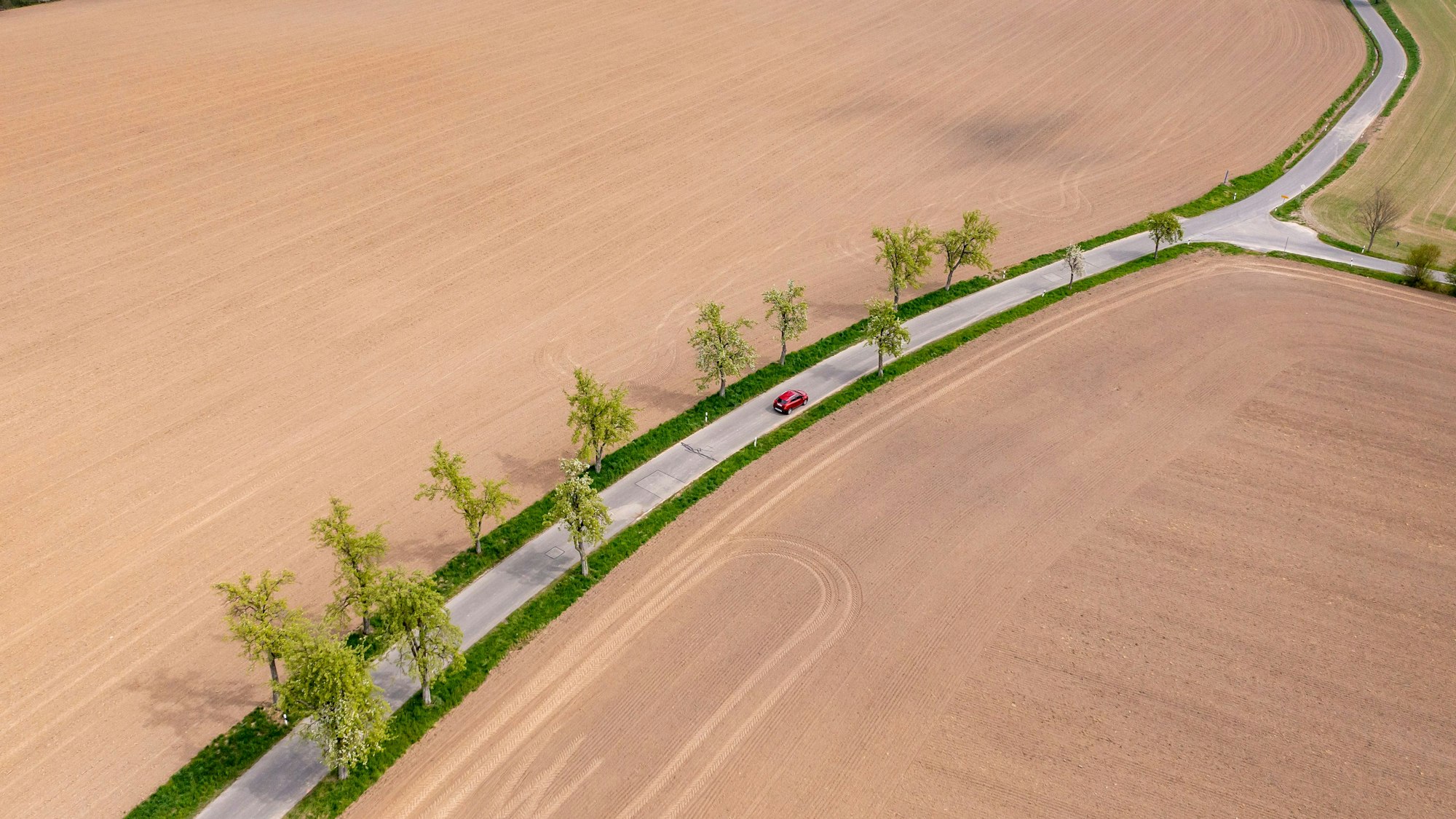 Ein Auto fährt im April über eine Straße mit grünen Bäumen führt zwischen zwei braunen Feldern hindurch. Das Frühjahr war in vielen Regionen Deutschlands deutlich zu trocken. Die fehlenden Niederschläge führen zu einer sogenannten Bodendürre.