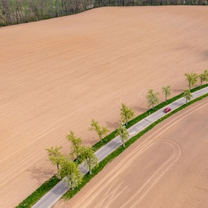 Ein Auto fährt im April über eine Straße mit grünen Bäumen führt zwischen zwei braunen Feldern hindurch. Das Frühjahr war in vielen Regionen Deutschlands deutlich zu trocken. Die fehlenden Niederschläge führen zu einer sogenannten Bodendürre.
