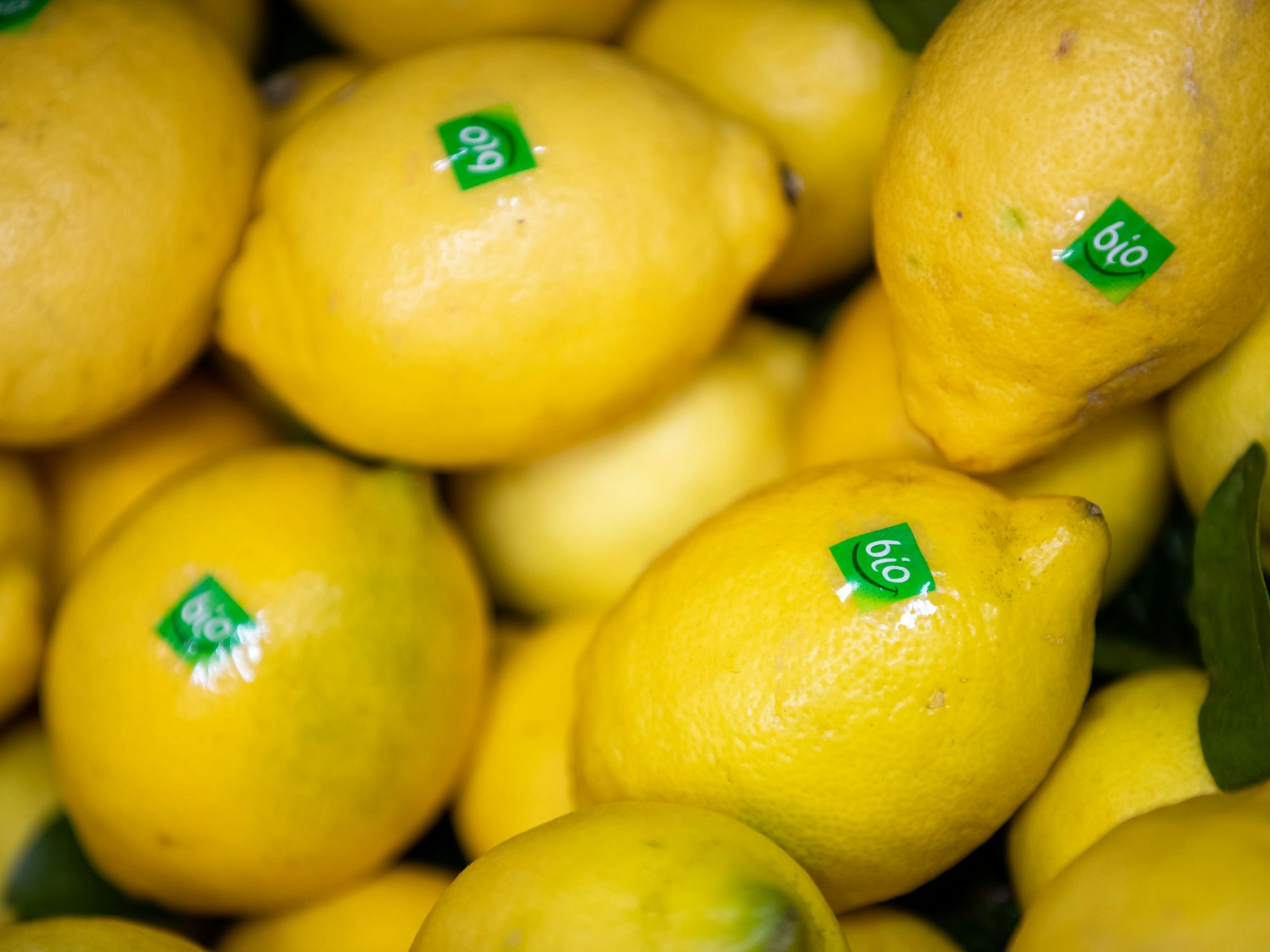 Zitronen mit dem Bio-Label liegen am 13. Februar 2019 an einem Stand bei der Öko-Fachmesse aus.