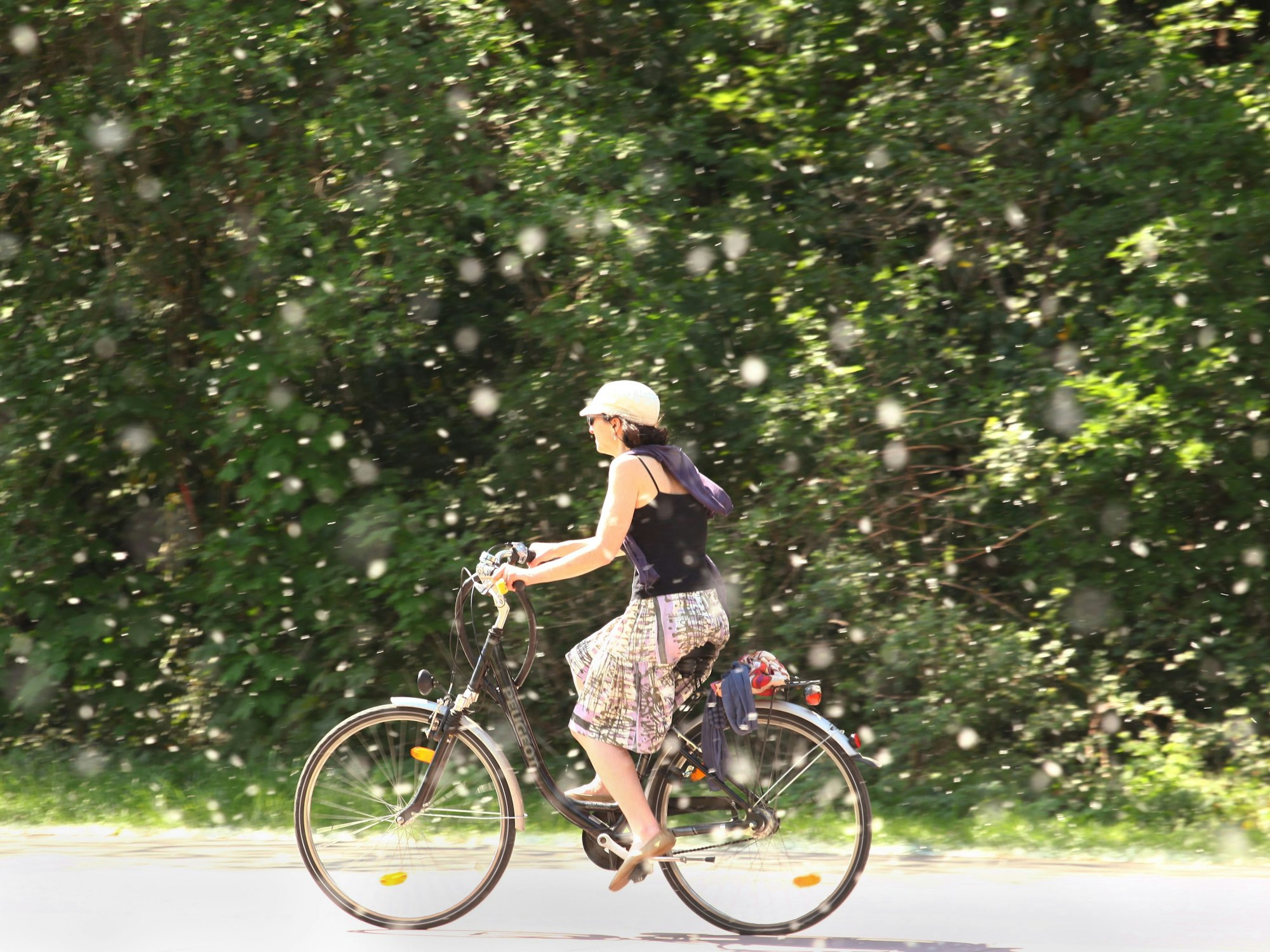 Eine Frau fährt mit dem Fahrrad durch herumfliegende Pappelsamen.