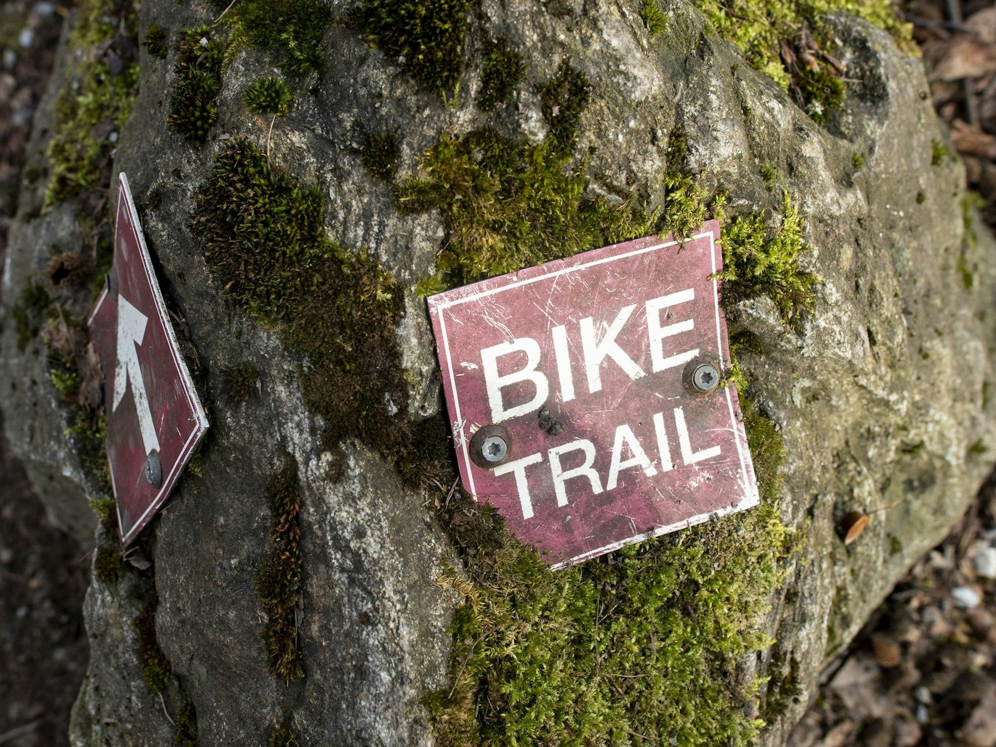 Ein Schild mit der Aufschrift «Bike Trail» (Fahrradweg) liegt auf einer Trail-Strecke in Zürich.