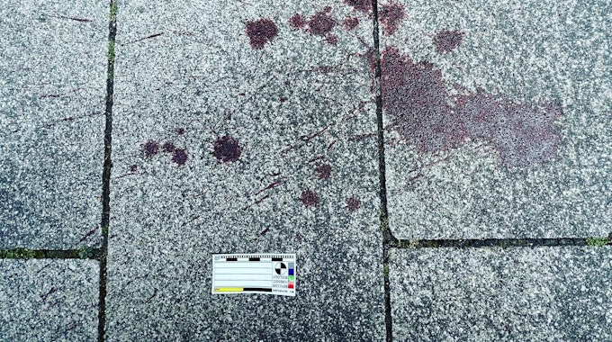 Eine Blutspur auf dem Boden.