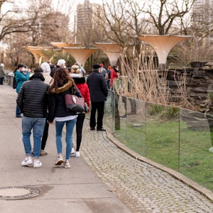 Besucherinnen und Besucher schlendern durch den Kölner Zoo.