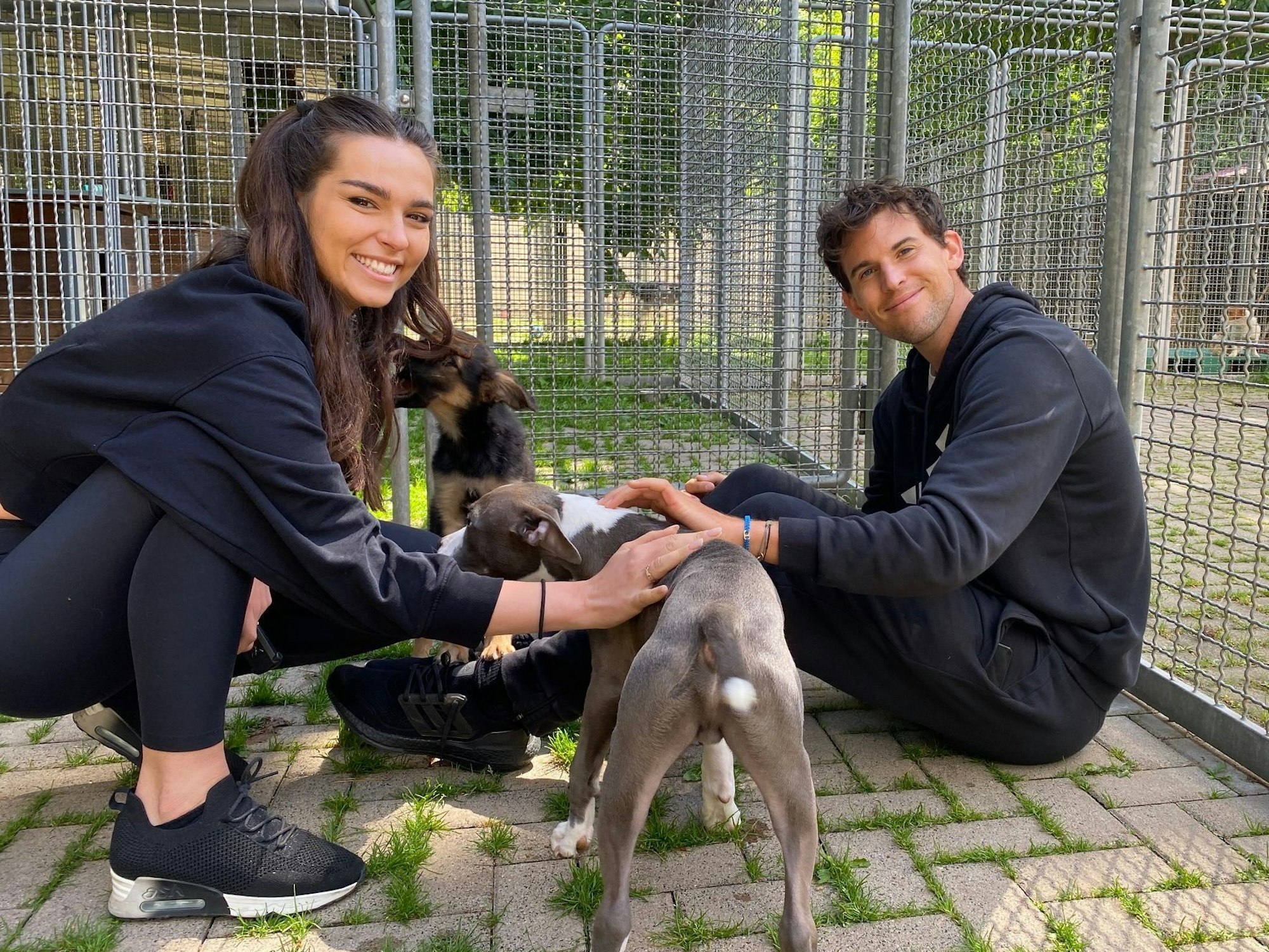 Lili Paul-Roncalli und Dominic Thiem streicheln zwei Hunde im Tierheim in Köln-Dellbrück.