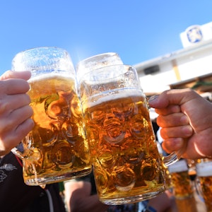Auf dem Symbolfoto stoßen Besucher auf dem Oktoberfest mit Maßkrügen voller Bier an, aufgenommen im September 2018.
