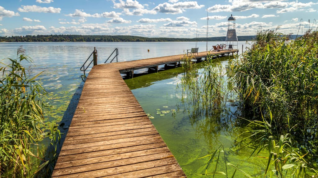 Der Schielowsee in Brandenburg eignet sich perfekt als Ziel für einen Tagesausflug.