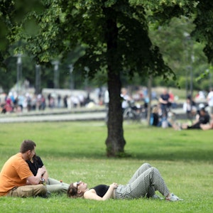 Menschen liegen auf einer Wiese in Köln in der Sonne.