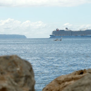 Das Kreuzfahrtschiff «Odyssey of the Seas» liegt in der Bucht von Palma.