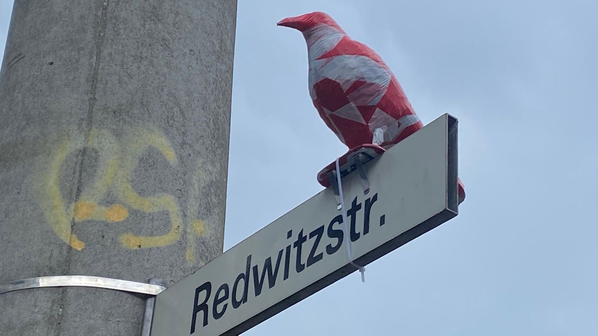 Ein in rot-weißem Absperrband eingewickelter Rabe sitzt auf einem Straßenschild in Köln-Sülz.