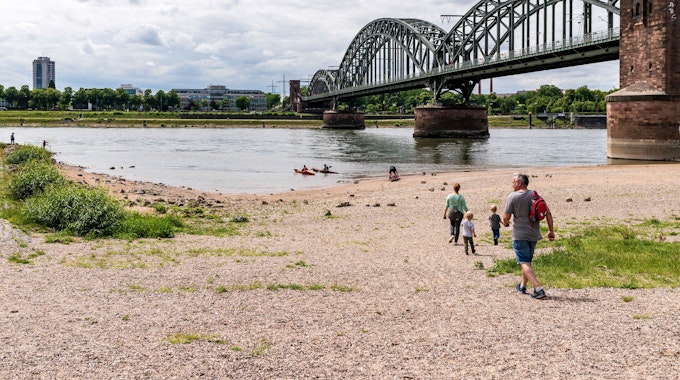 Menschen gehen am Rhein spazieren, die Sonne scheint.