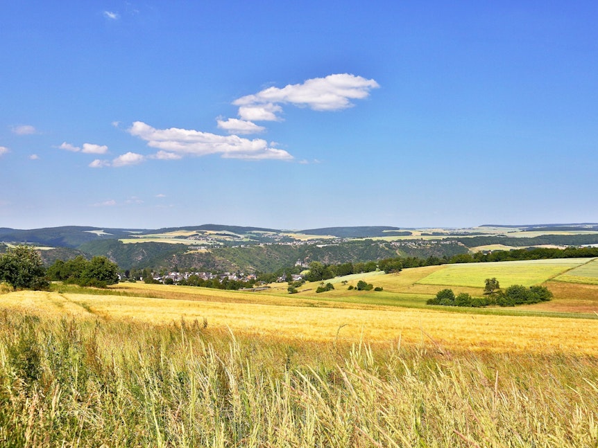 Die Landschaft im Nationalpark Hunsrück-Hochwald lädt zu zahlreichen Wanderungen ein.