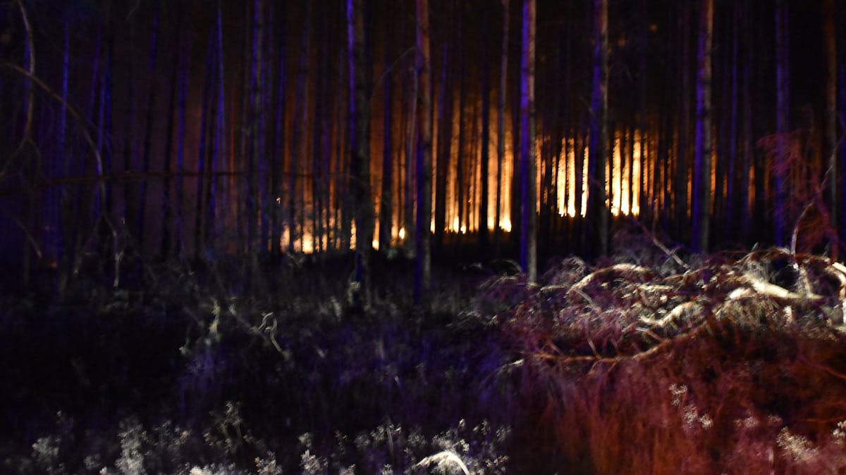 Der Wald bei Frohnsdorf brennt auf über 100 Hektar Fläche.