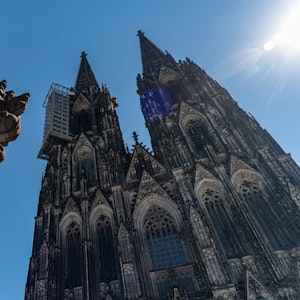 Eine Kreuzblume auf der Domplatte und der Kölner Dom am 31. Juli 2020 bei Sonnenschein.