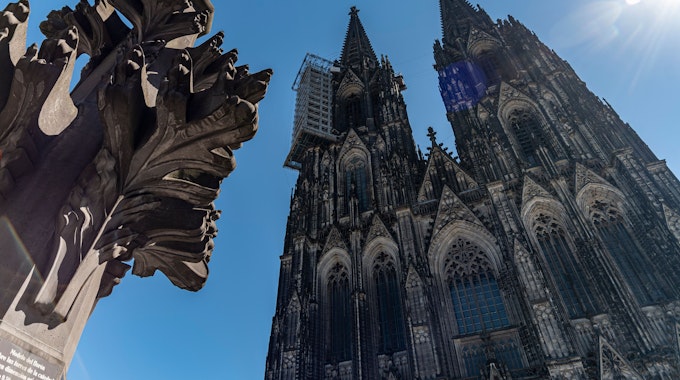 Eine Kreuzblume auf der Domplatte und der Kölner Dom am 31. Juli 2020 bei Sonnenschein.