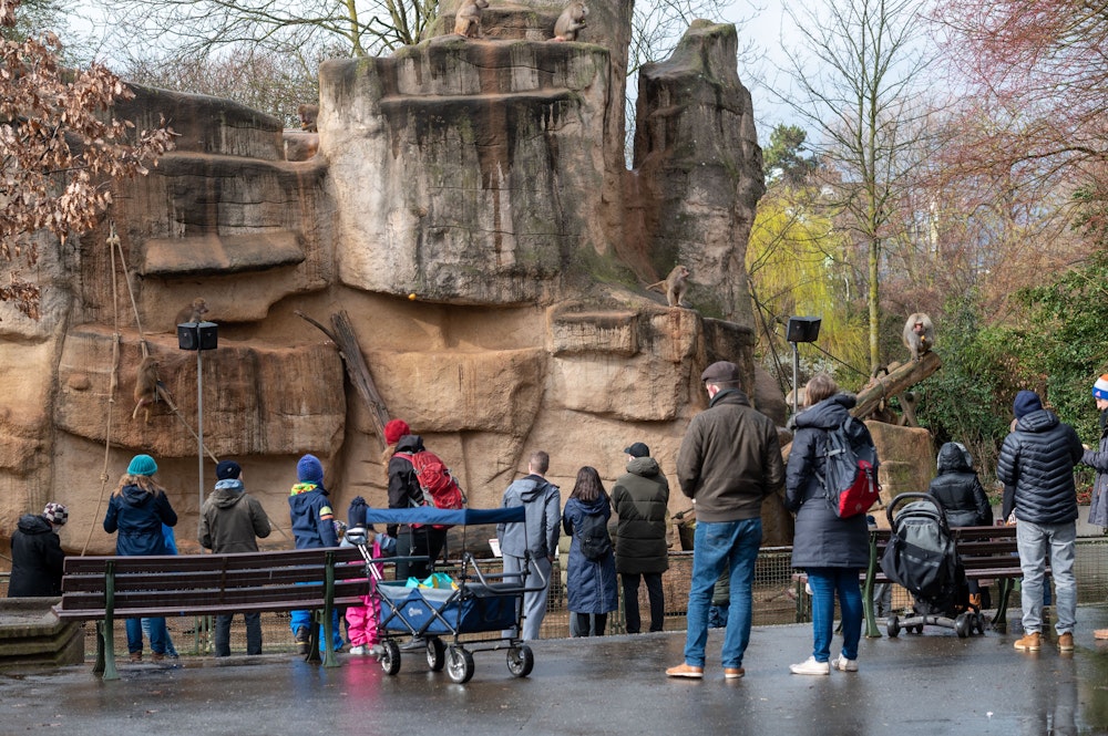 Viele Menschen stehen im Kölner Zoo vor einem Tiergehege.
