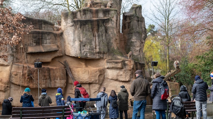 Viele Menschen stehen im Kölner Zoo vor einem Tiergehege.