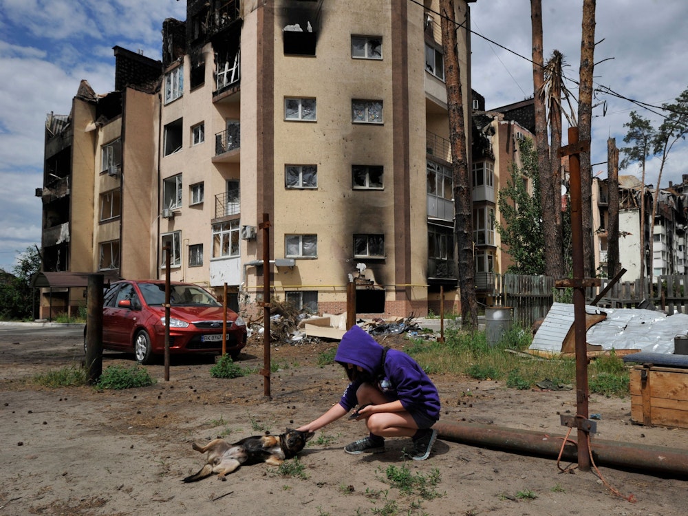 Ein junges Mädchen spielt im zerstörten Kyjiw Mitte Juni mit ihrem Hund. Zahlreiche Menschen werden in der Ukraine Opfer von russischer Gewalt, darunter auch Kinder, Jugendliche und Familien.