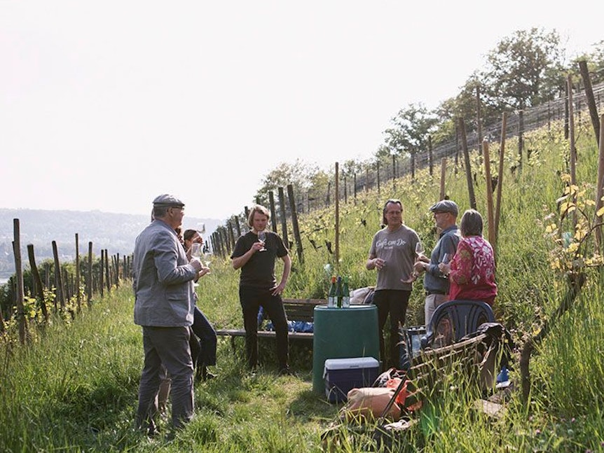 In einem Weinberg im Siebengebirge erklärt Winzer Kay Thiel einer Gruppe sein Prozedere.