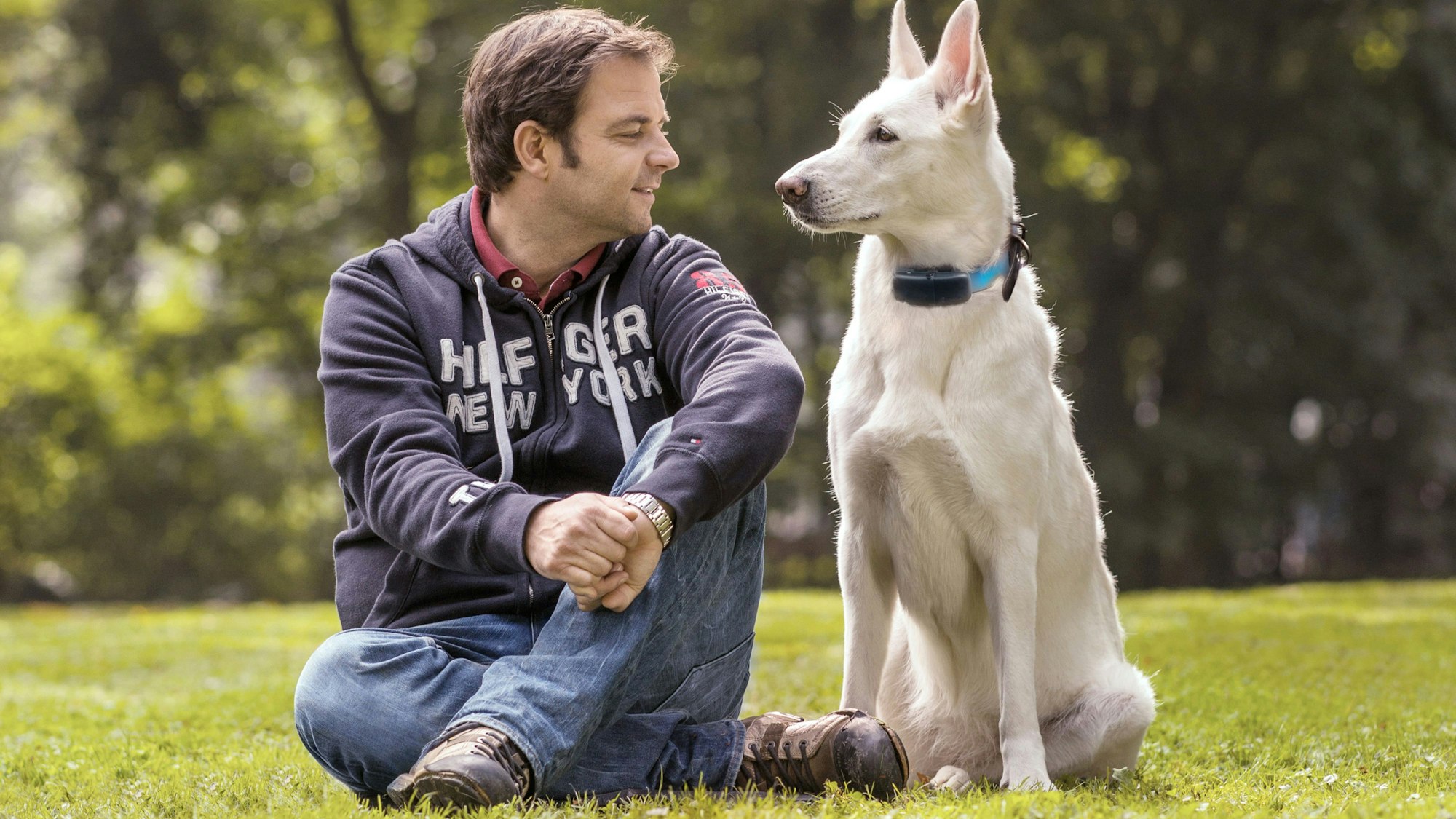 Das Foto zeigt Hundetrainer Martin Rütter sitzend auf einer Wiese mit einem Hund.