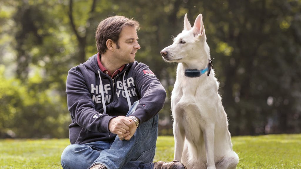 Das Foto zeigt Hundetrainer Martin Rütter sitzend auf einer Wiese mit einem Hund.&nbsp;