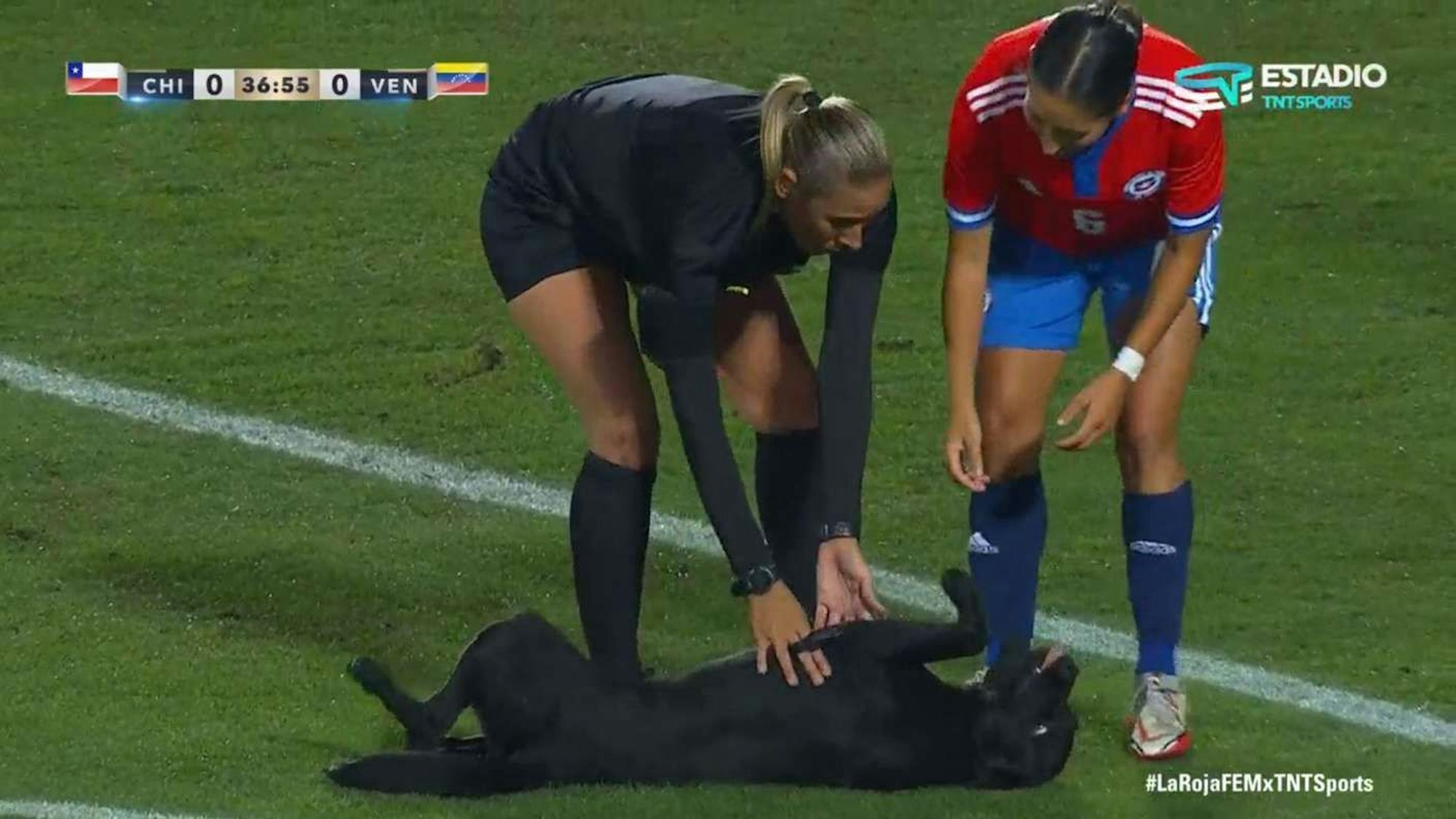 Die Schiedsrichterin und eine chilenische Spielerin kümmern sich liebevoll um einen Hund, der als Flitzer unterwegs ist.