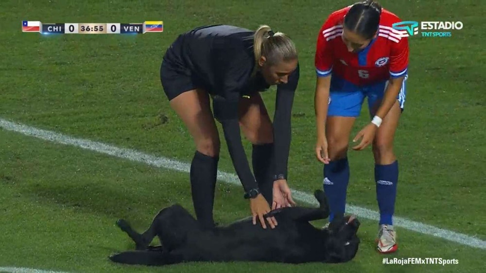 Die Schiedsrichterin und eine chilenische Spielerin kümmern sich liebevoll um einen Hund, der als Flitzer unterwegs ist.