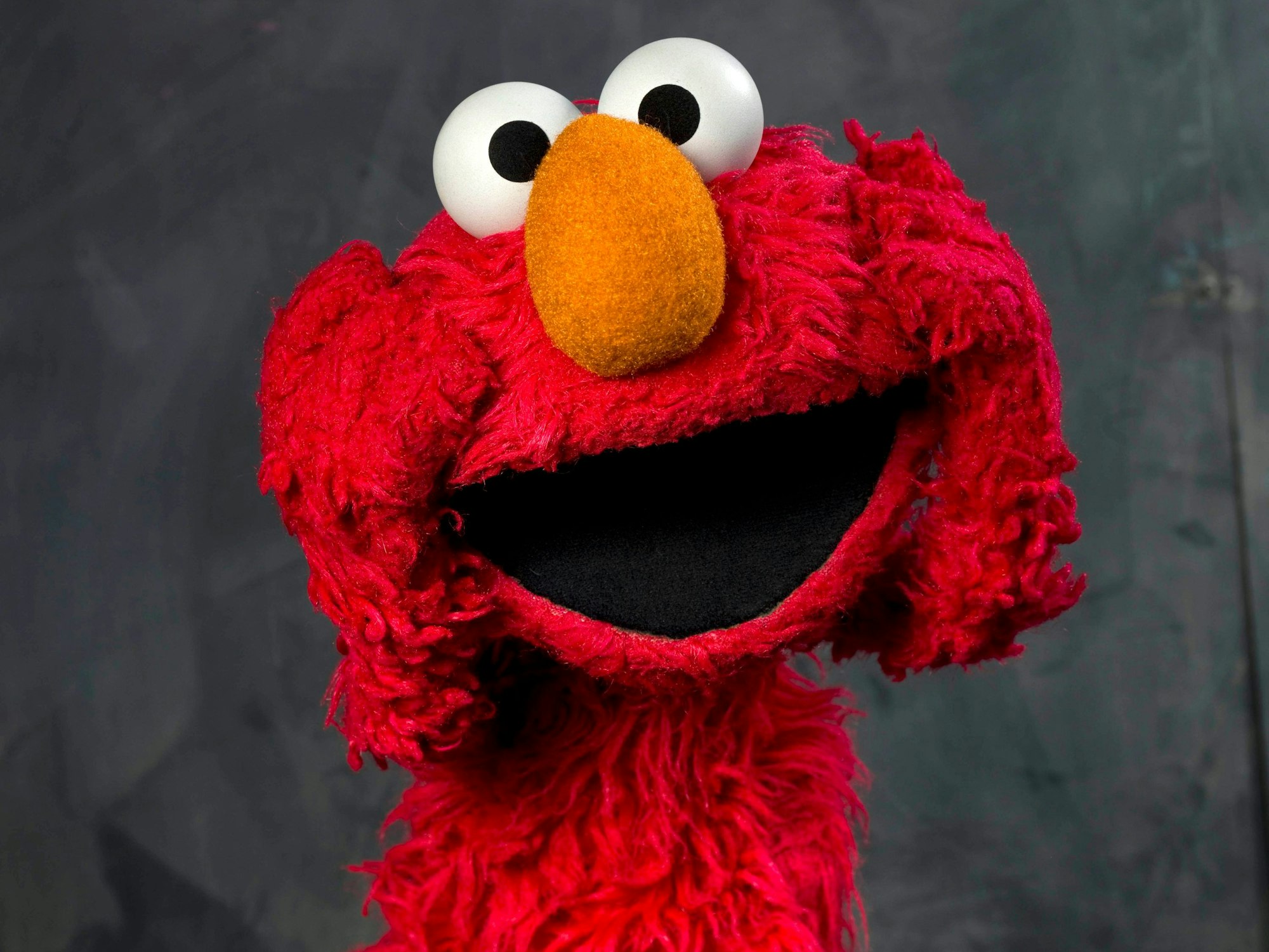 Elmo aus der „Sesamstraße“ posiert vor der Kamera