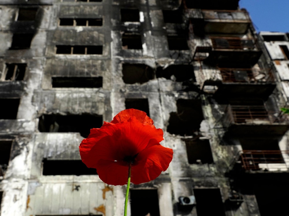 Eine rote Mohnblume vor einem zerstörten Gebäude in der ukrainischen Stadt Mariupol. Ein Symbol, dass die Zeit alle Wunden heilt?